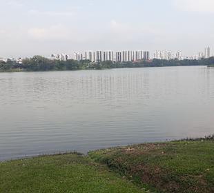 Jurong Lake und Gärten