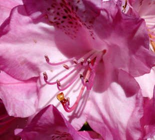 Spaziergang durch die Graftanlagen