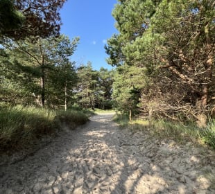 Strand
