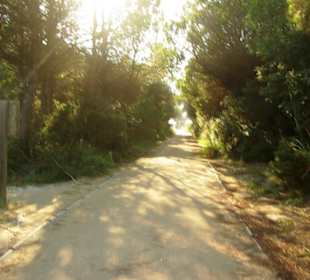 Fuß-/Radweg Naturreservat