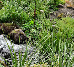 Botanischer Garten Edinburgh