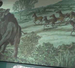 Staatliches Naturkunde Museum