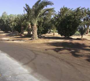 Rundfahrt El Gouna