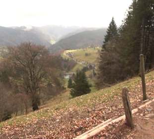 Blackforestline Hängebrücke