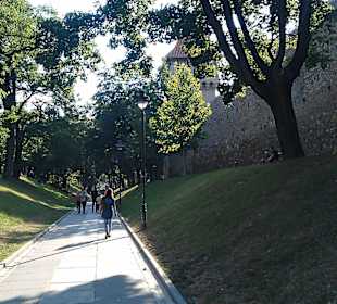 Stadtmauer Sibiu/Hermannstadt