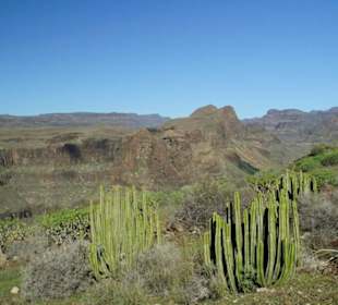 Blick über den Canyon