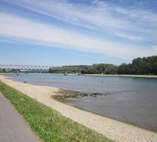 Am Rhein in Germersheim Niedrigwasser