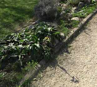 Park Oase der Gesundheit