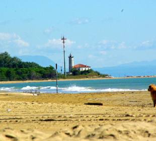 Ende September 2010 Inspirationen