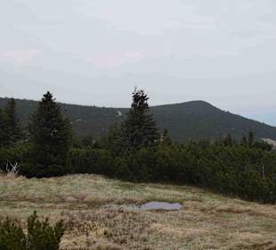 Berg Schneekoppe/Śnieżka