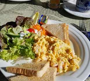 Strandläufer mit Krabben
