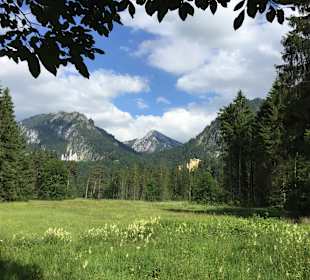 Wandern Schwangau