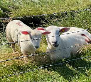Wandern Bredstedt