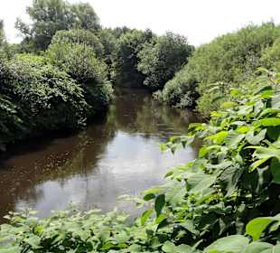 Blick auf den Fluss Hunte
