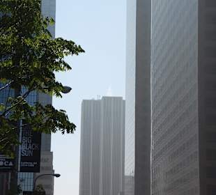 Mit Starline Tours durch LA