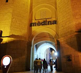 Medina Hammamet-Yasmine