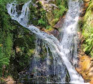 Wandern Bad Peterstal-Griesbach