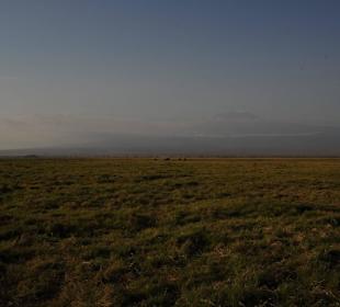 Kilimanjaro from Amboseli