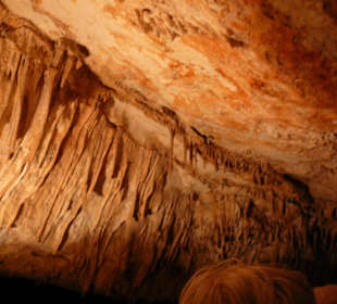 In der Drachenhöhle