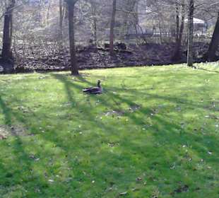 Tierpark Hellabrunn in München