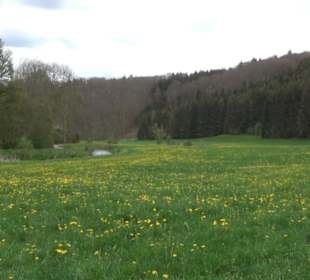 Premiumwanderweg Hochgebürzelt