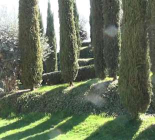 Bosque del Recuerdo