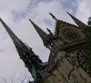 Собор парижской богоматери