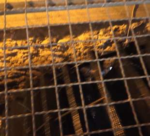 Schüttesäge-Museum