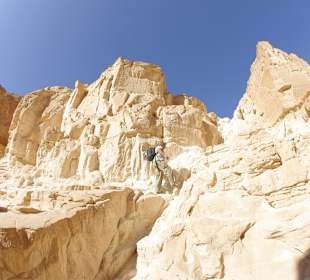 Felsen am Canyon