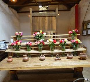 Der Besitzer ist ein Rosenfreund