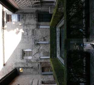 Dettaglio del giardino