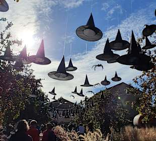 Bauer-Lipp Weiterstadt