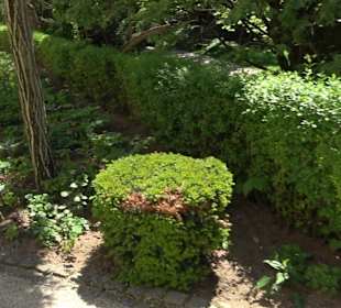 Rosengarten Nördlingen