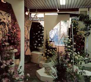 Blumenpracht im Keukenhof / Holland