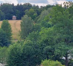Rotwildpark bei Stuttgart