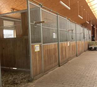 Haupt- und Landgestüt Marbach