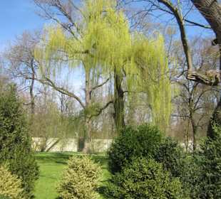 Schlossgarten Schwetzingen