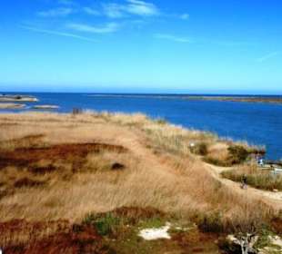 Ebromündung Rioar Riumar Ebro Delta