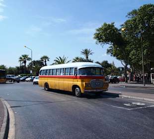 Bus
