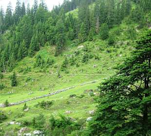 Salzburger Almenweg
