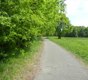 Naturschutzgebiet Boberger Niederung