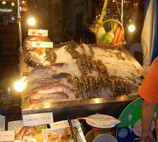 Fische wohin man schaut