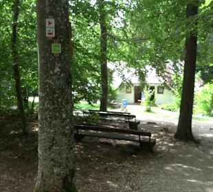 Nebelhöhle