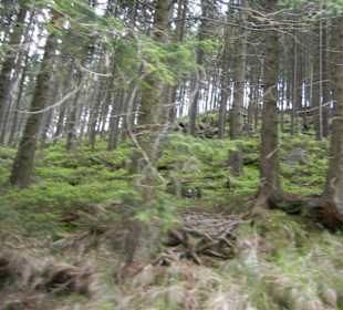 Karkonoski Park Narodowy