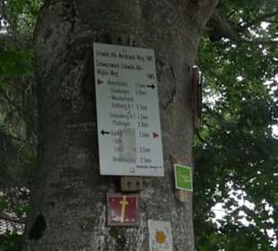 Hochgeträumt Premiumwanderung