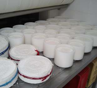 Besuch auf der Ziegenfarm-Käseherstellung original!