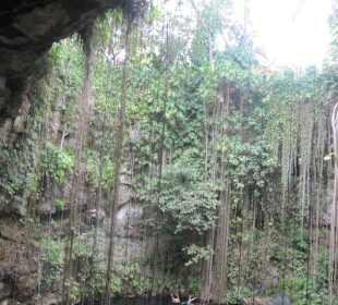 Cenote Ik-Kil