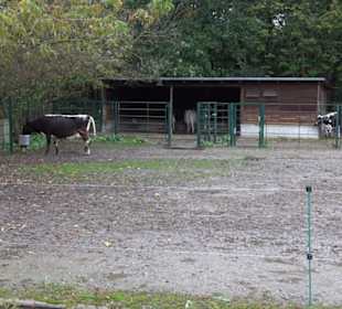 Tierpark 
