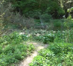 Premiumwanderweg Hochgehschätzt