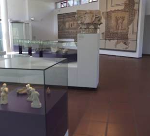 Rheinisches Landesmuseum 